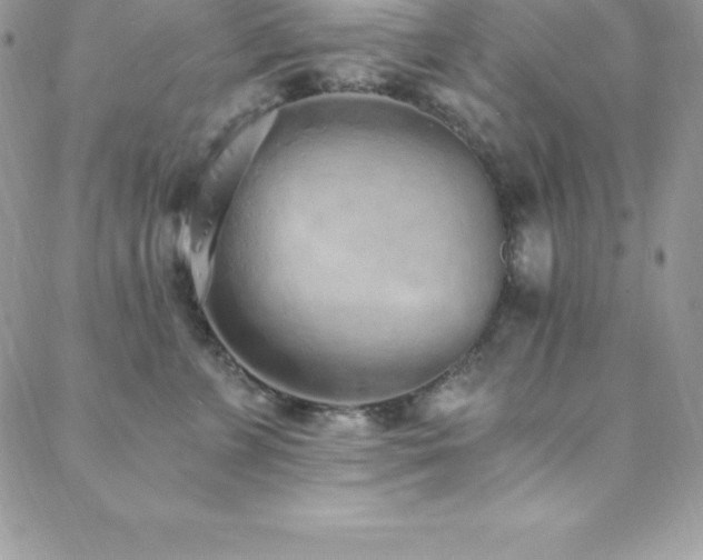 X0000088840715200706071420