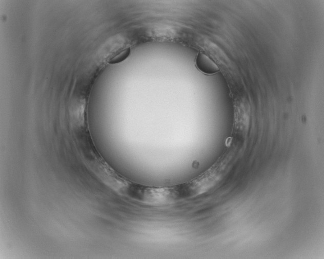 X0000088840717200706071420