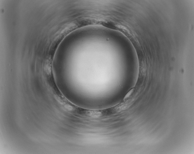 X0000088840719200706071420