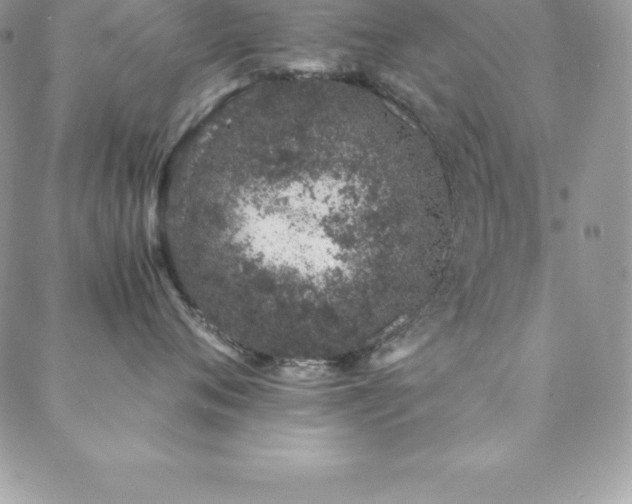 X0000088840720200706071420