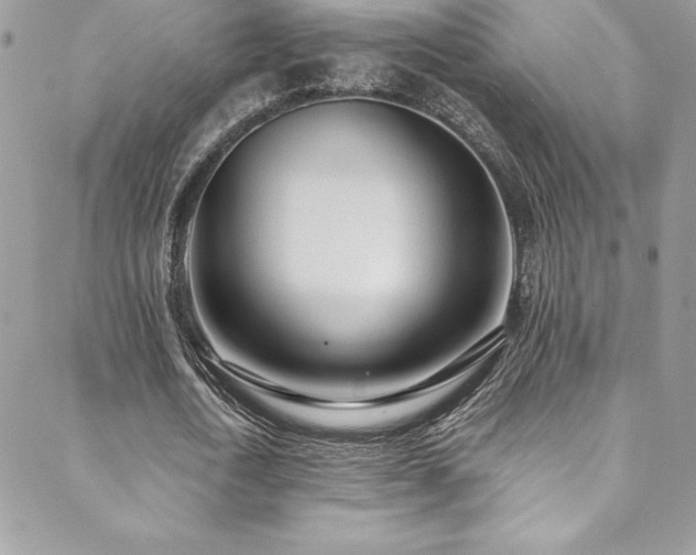 X0000088840722200706071419