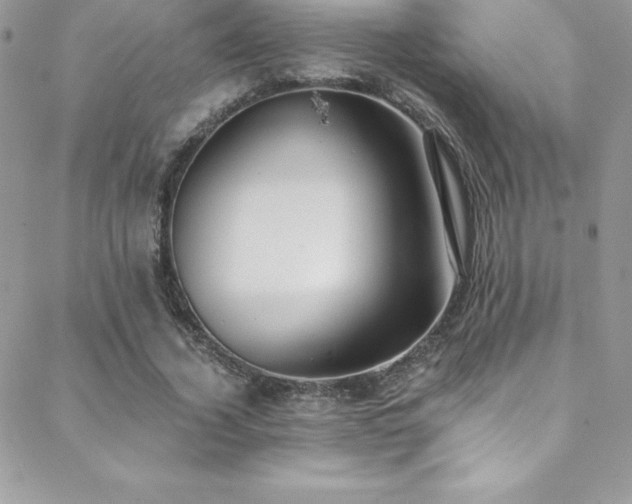 X0000088840732200706071419