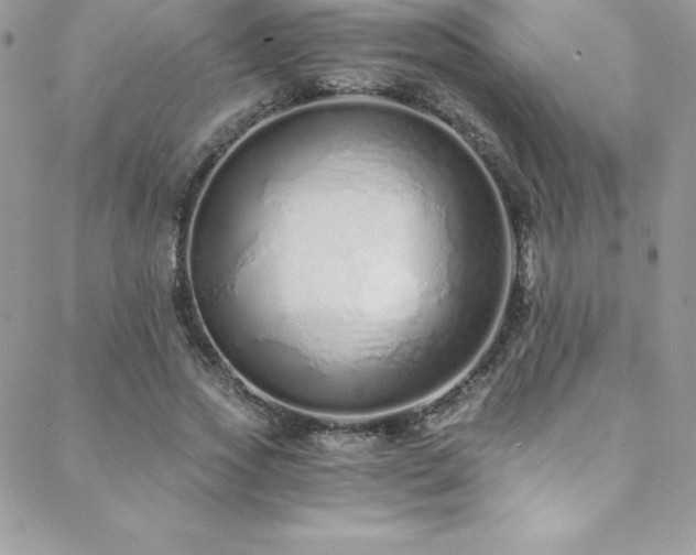 X0000088840733200706071419