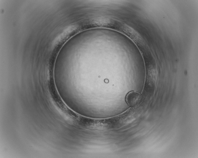 X0000088840734200706071419