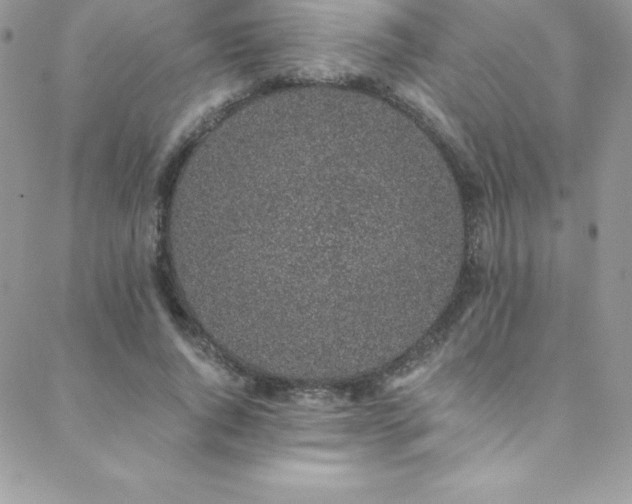 X0000088840736200706071419