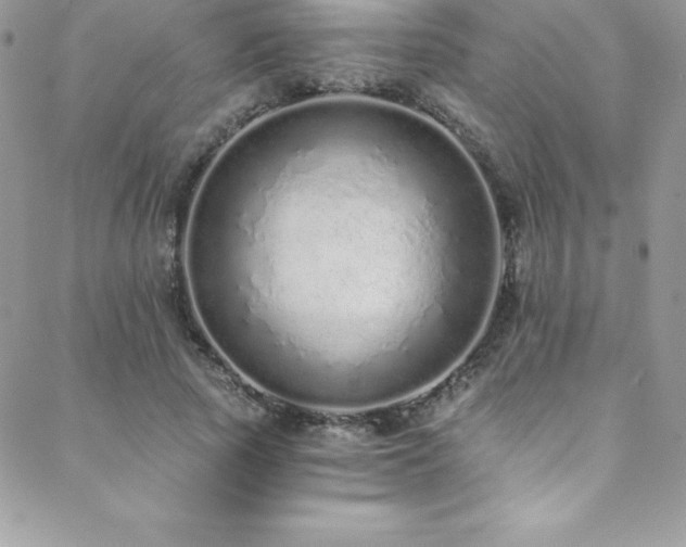 X0000088840737200706071419