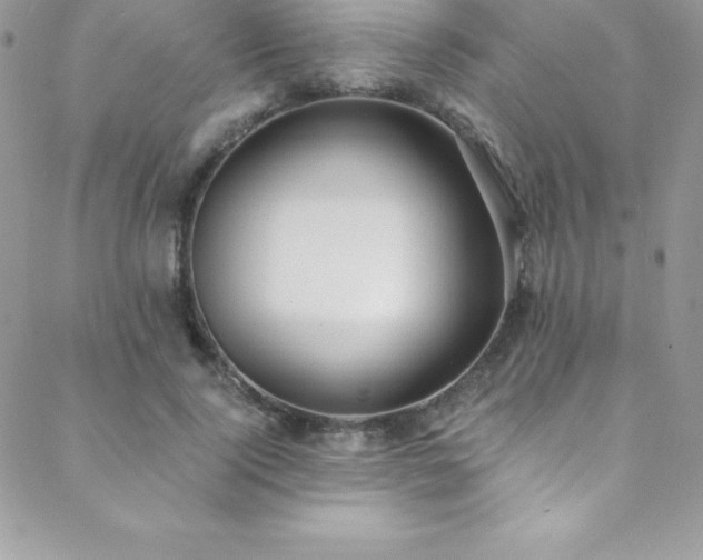 X0000088840740200706071419