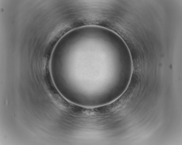 X0000088840742200706071419