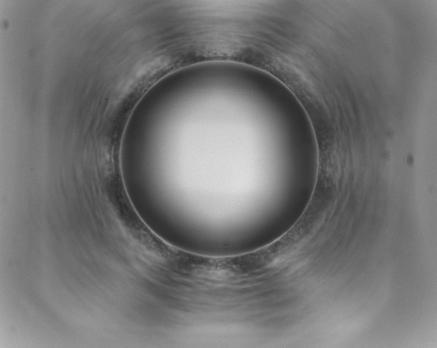 X0000088840743200706071419