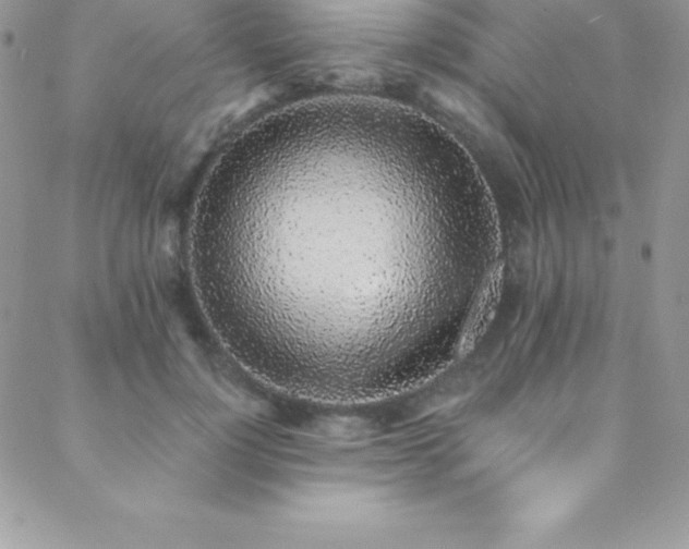 X0000088840748200706071420