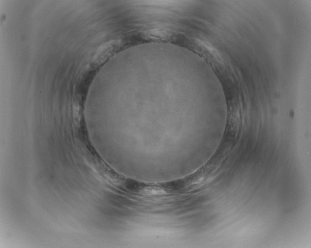 X0000088840749200706071420