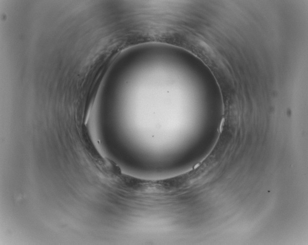 X0000088840750200706071420