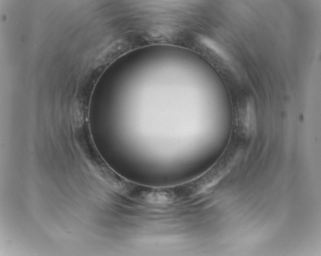 X0000088840751200706071420