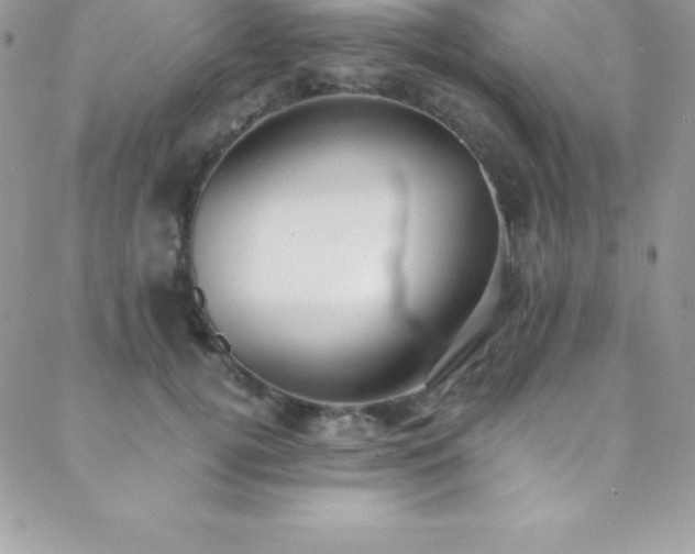 X0000088840752200706071420