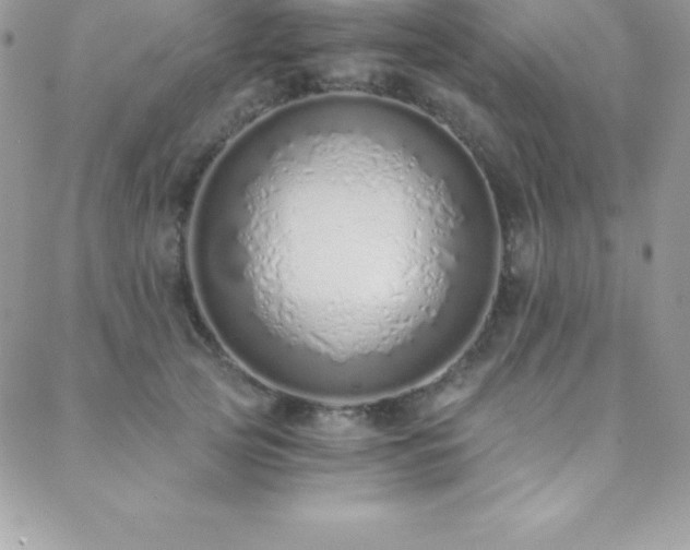 X0000088840753200706071420