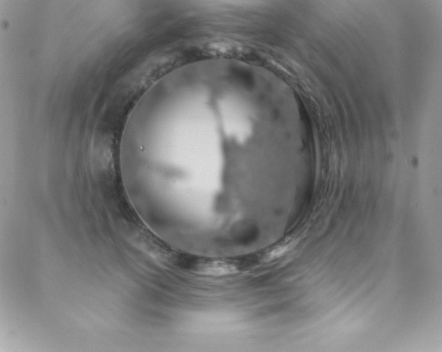 X0000088840754200706071420