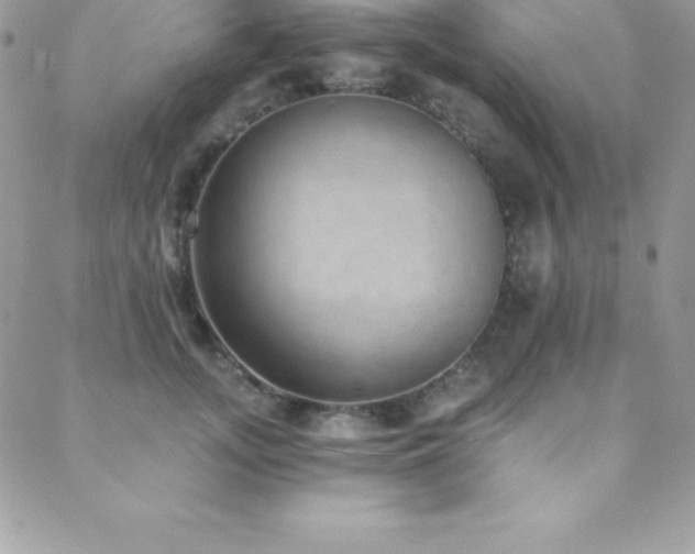 X0000088840755200706071420