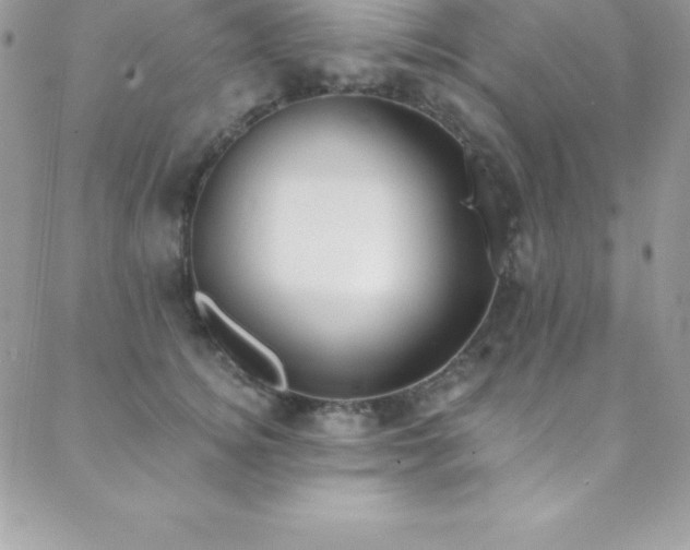 X0000088840756200706071420