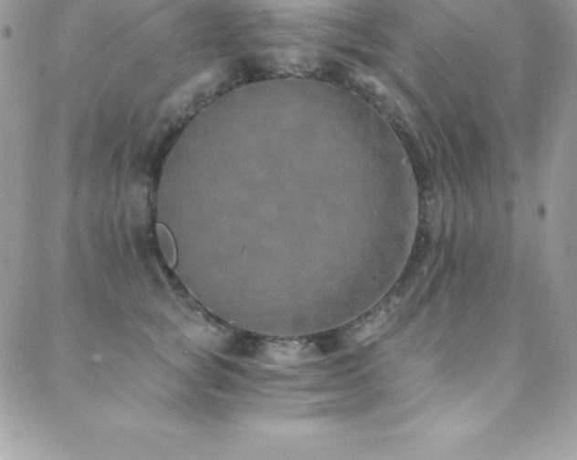 X0000088840757200706071420