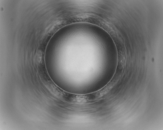 X0000088840758200706071420