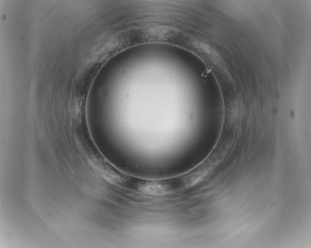 X0000088840759200706071420