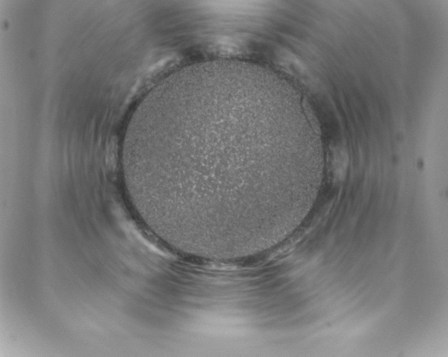 X0000088840760200706071420