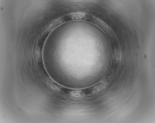 X0000088840761200706071420