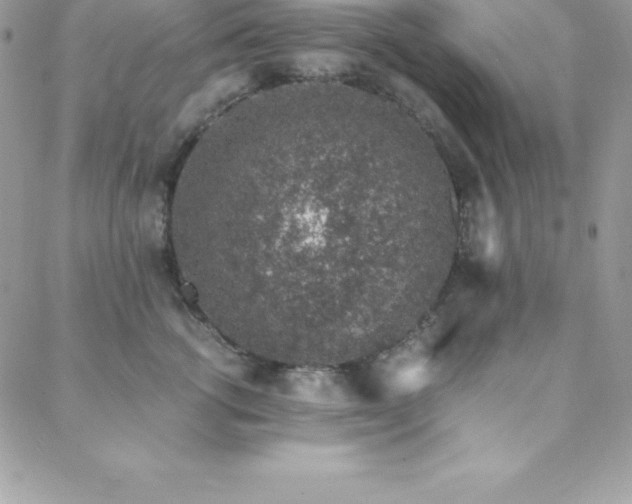 X0000088840762200706071420