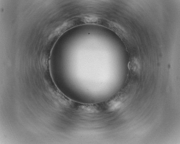 X0000088840763200706071420