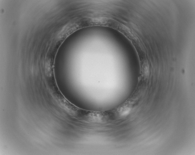 X0000088840764200706071420