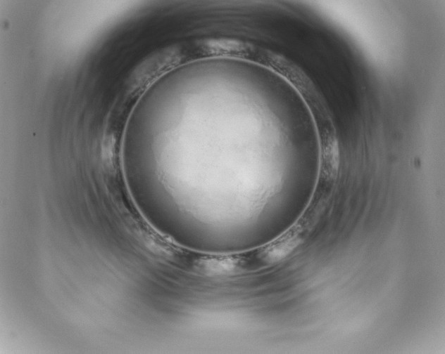 X0000088840765200706071420