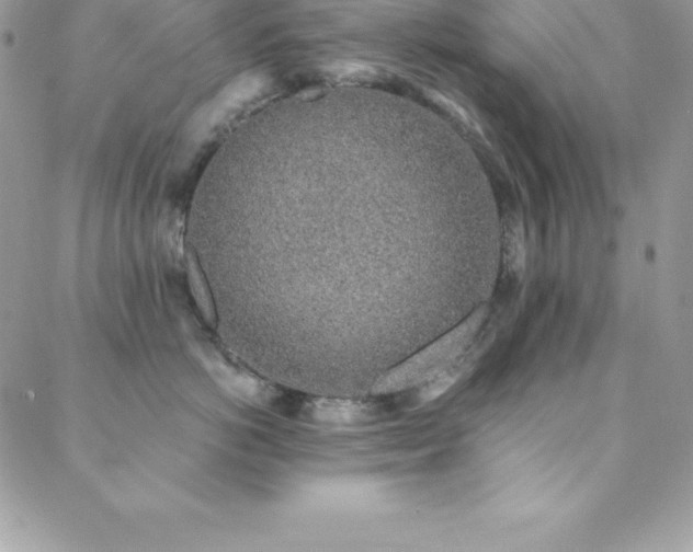 X0000088840766200706071420