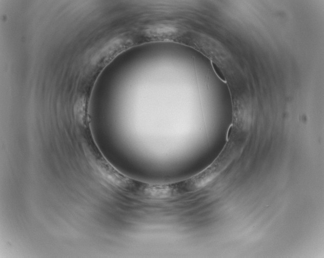 X0000088840767200706071420