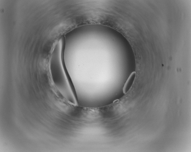 X0000088840768200706071420