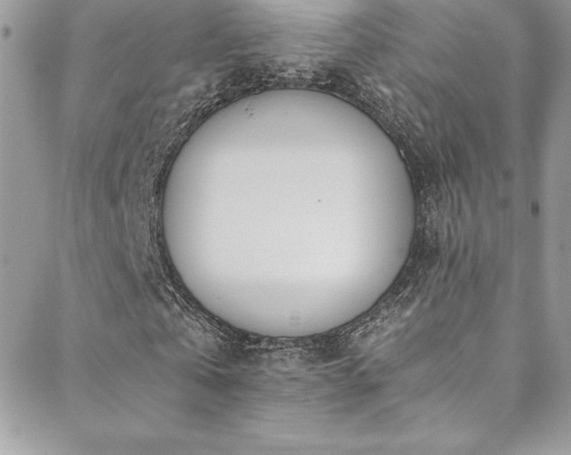 X0000088840769200706071419