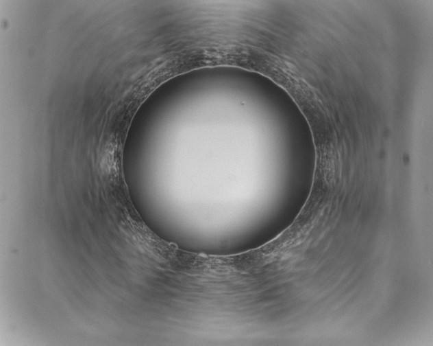 X0000088840770200706071419