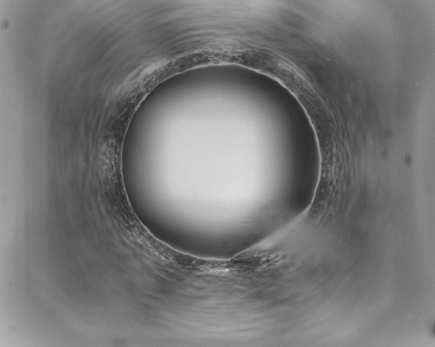 X0000088840773200706071419