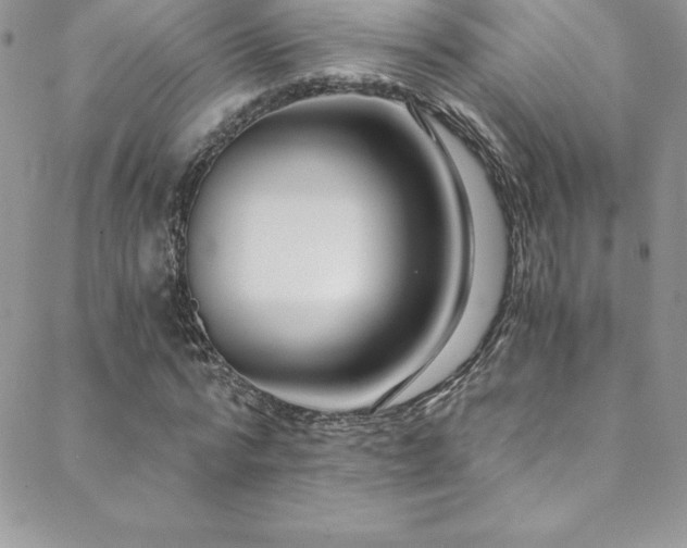 X0000088840776200706071419