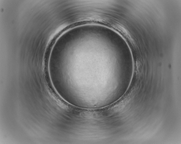 X0000088840780200706071419