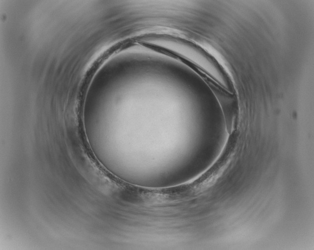 X0000088840783200706071419