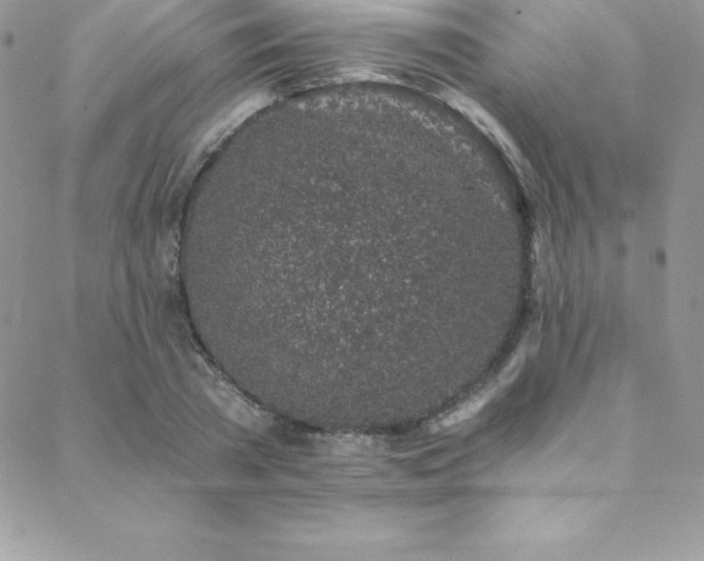 X0000088840785200706071419