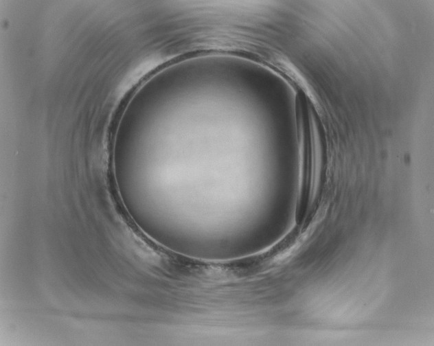 X0000088840787200706071419