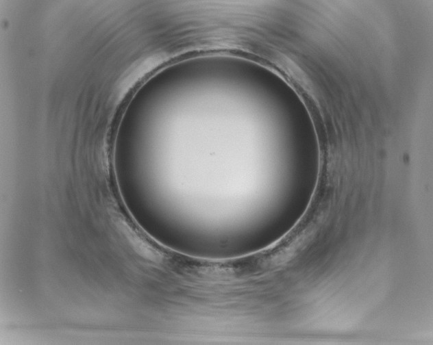 X0000088840789200706071419