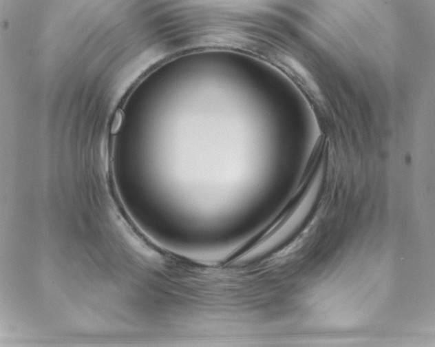 X0000088840796200706071419