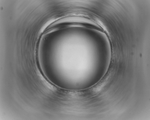 X0000088840803200706071419