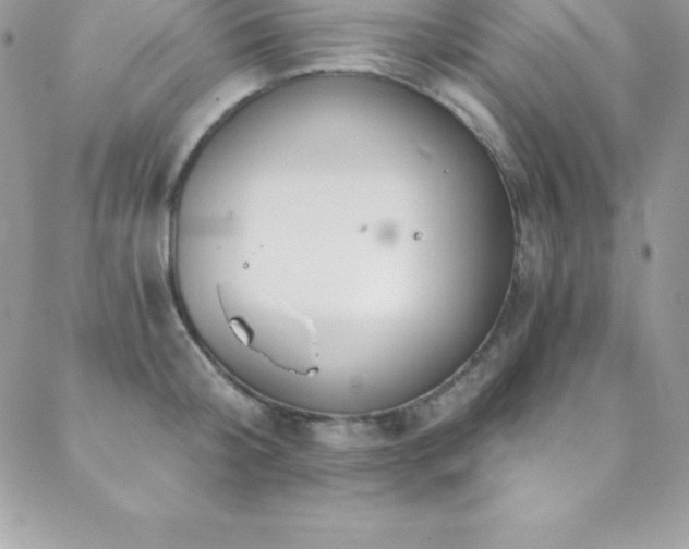 X0000088840804200706071418