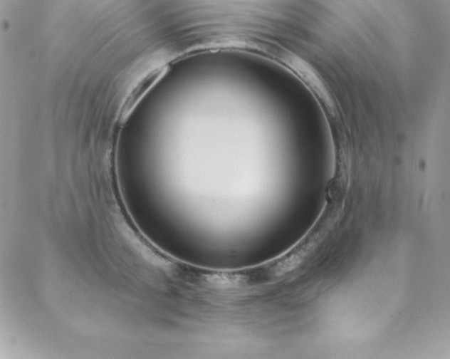 X0000088840805200706071418