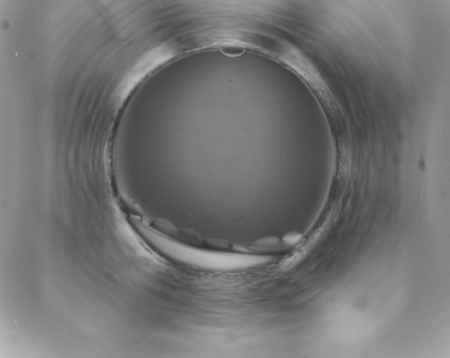 X0000088840806200706071418