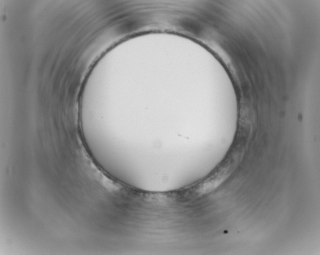 X0000088840807200706071418