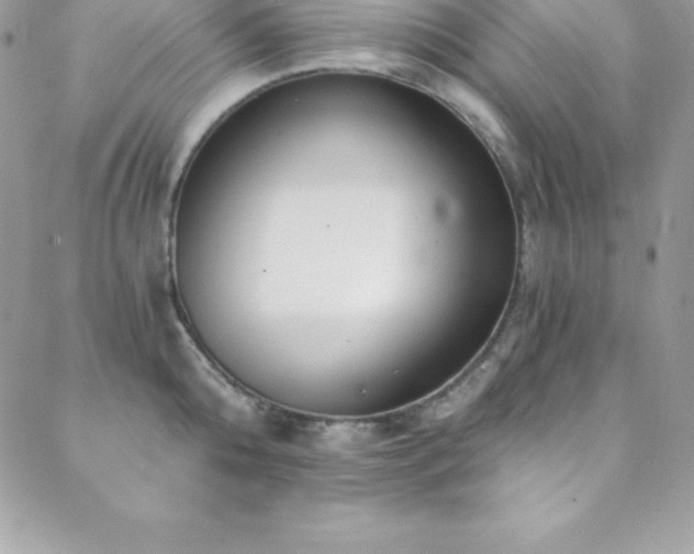 X0000088840808200706071418